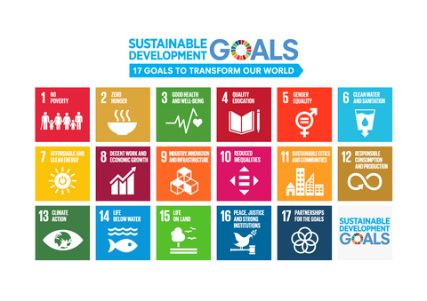 sdg_logo_en_2.png